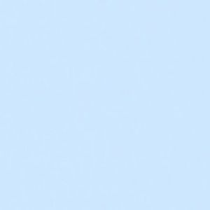 Meet your Posher, Bella